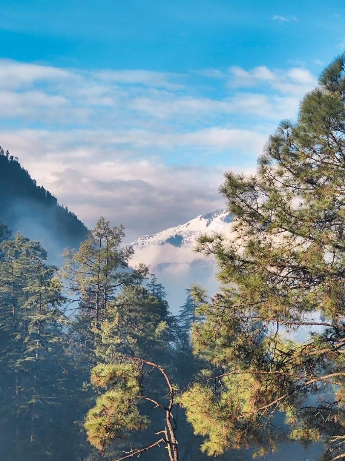 Free Culture, Chalal Bed & Breakfast Kasol Bagian luar foto